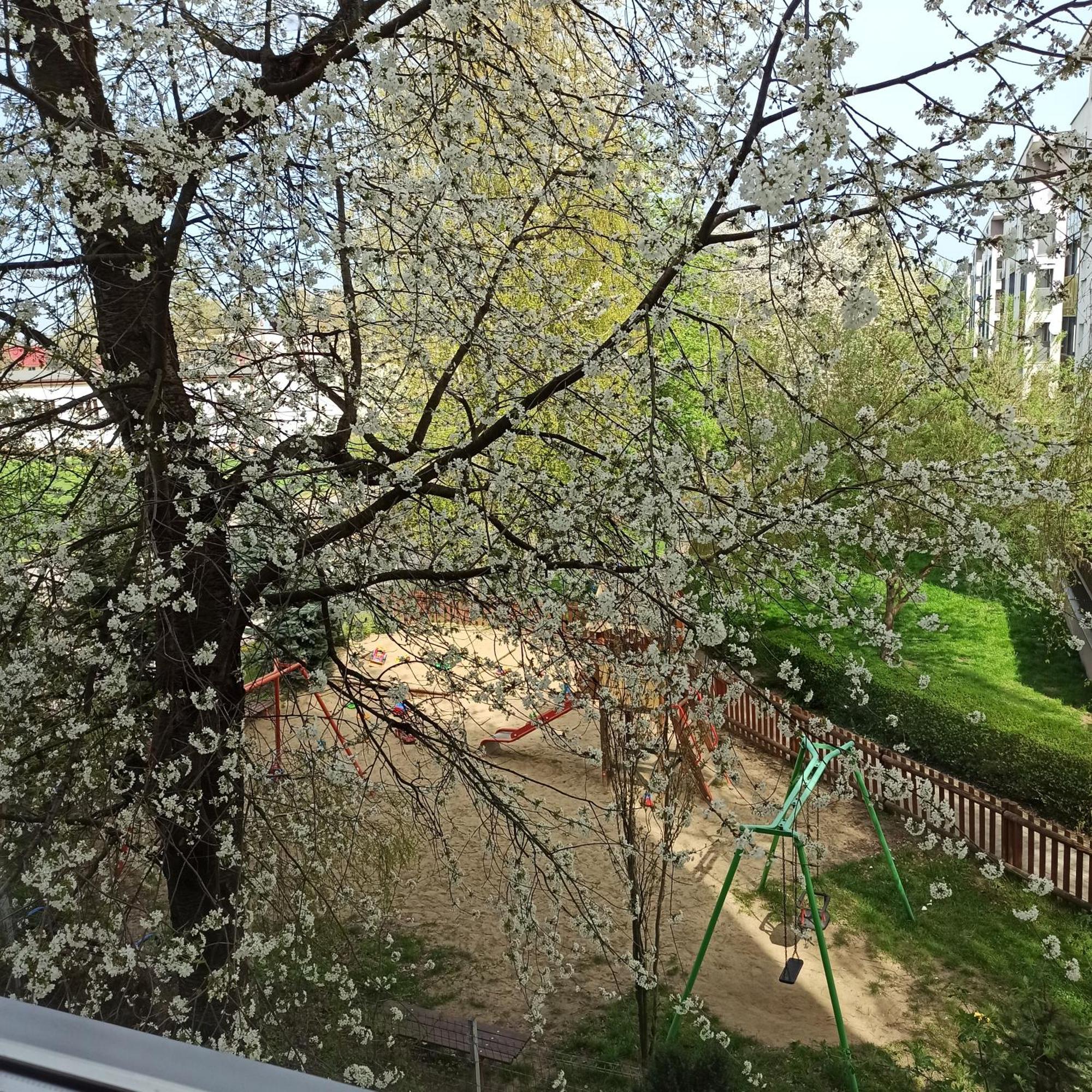 Apartament Dunikowskiego 57M2 Люблин Екстериор снимка